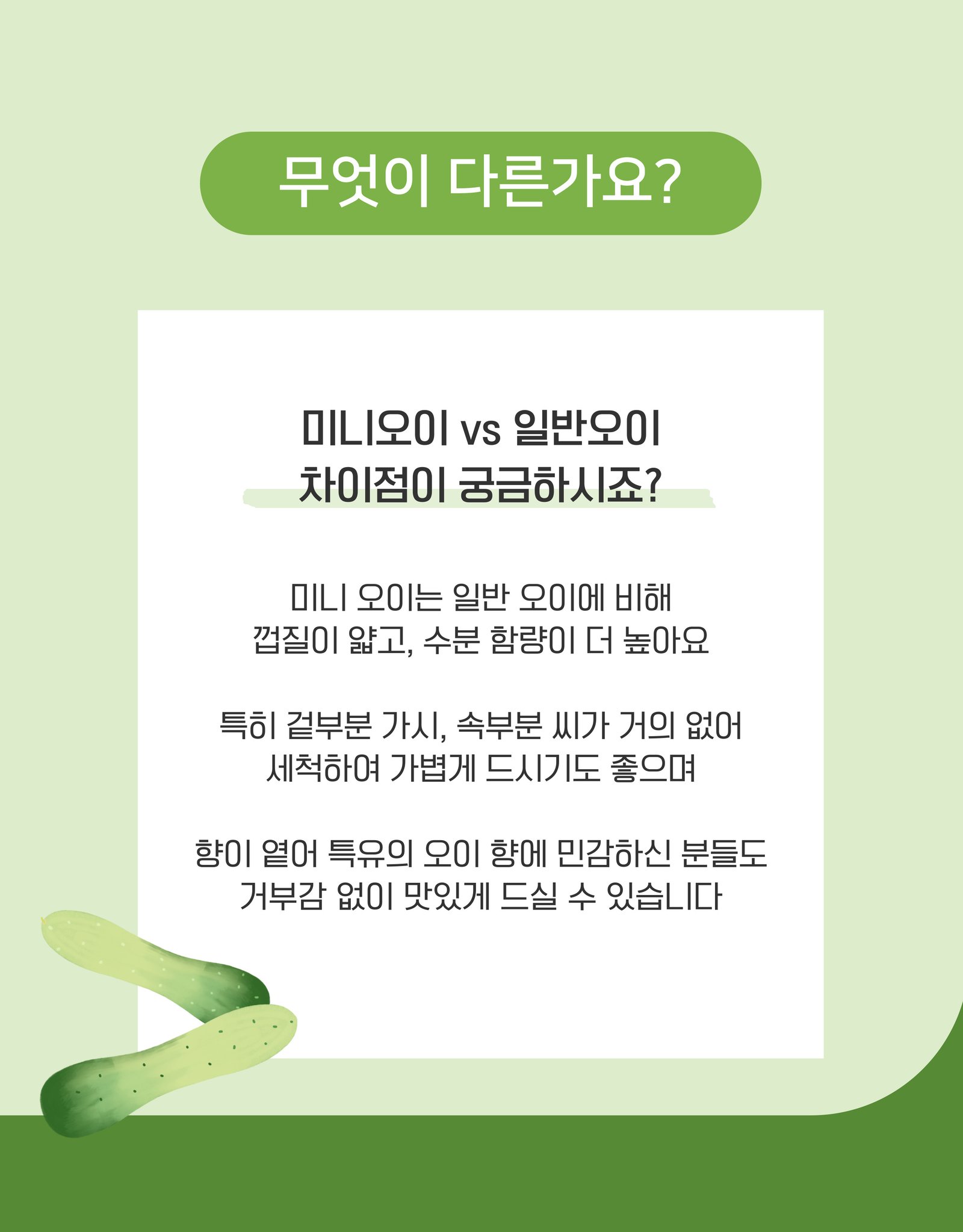 미니오이 1kg, 아삭한 간식 채우는 방식입니다 상세 이미지 2