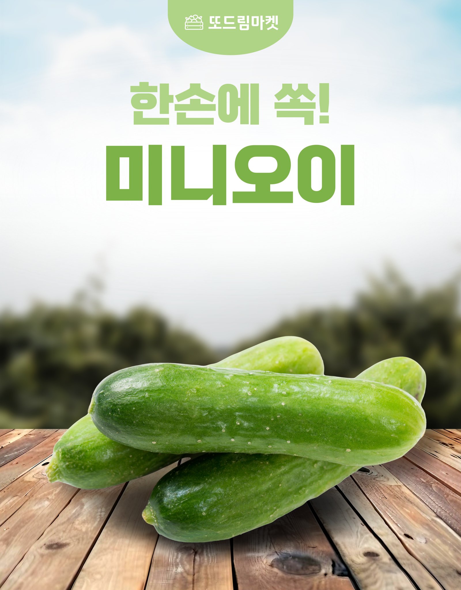 미니오이 1kg, 아삭한 간식 채우는 방식입니다 상세 이미지 3