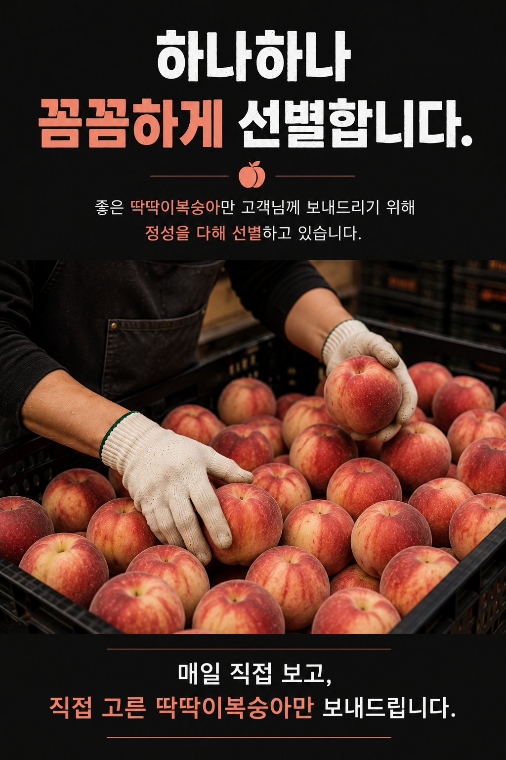 딱딱이복숭아 4kg, 무른 복숭아가 싫은 분께 상세 이미지 5