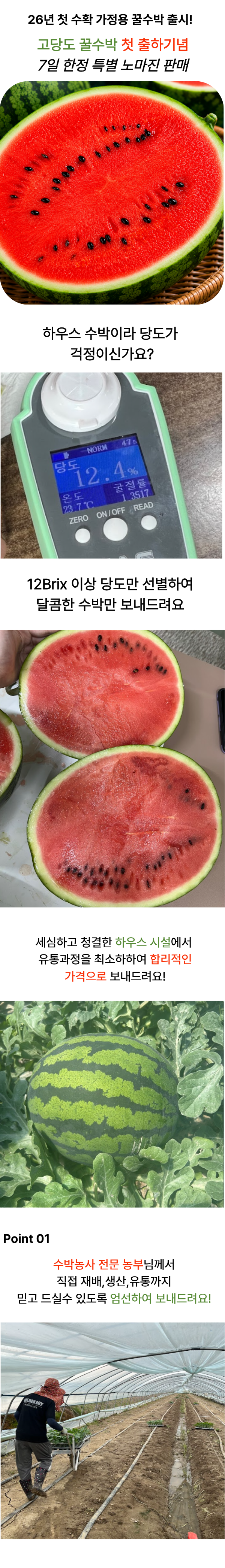 꿀수박 9kg, 하우스라 안 달까 걱정이라면 상세 이미지 2